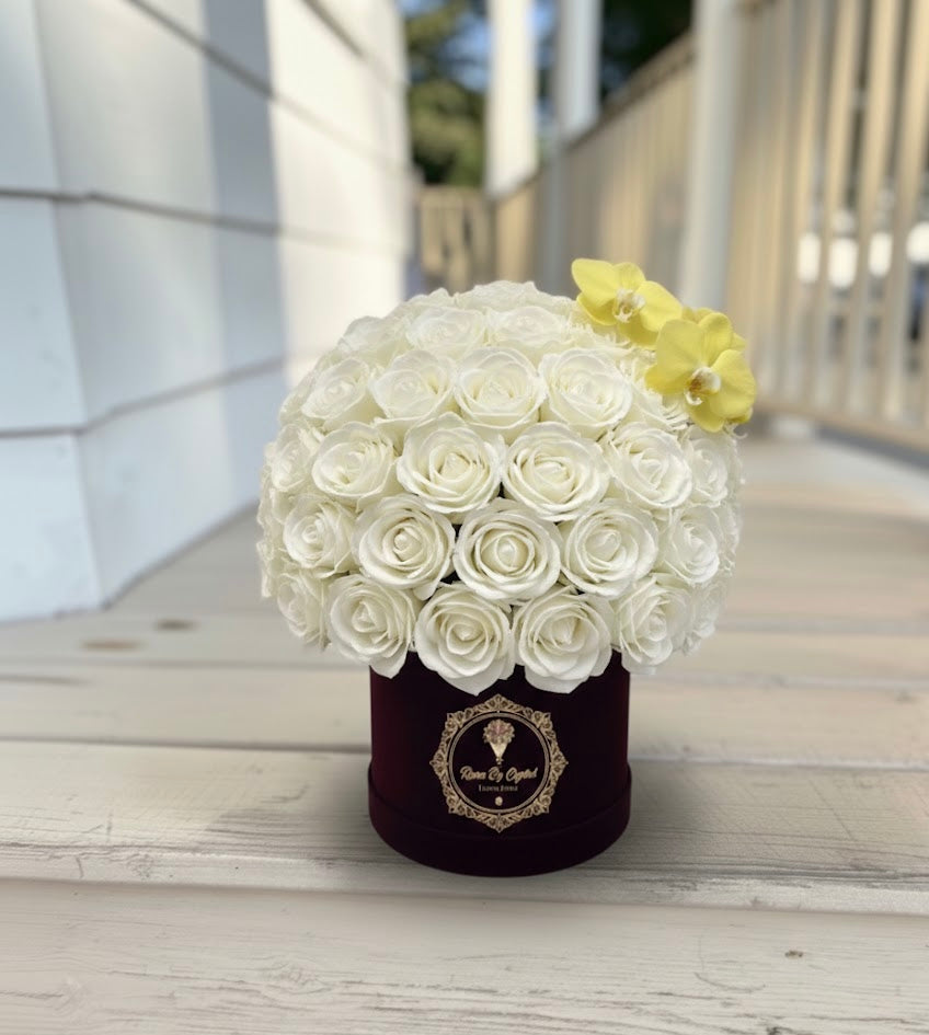 Amore Luxe Élite - Valentine's