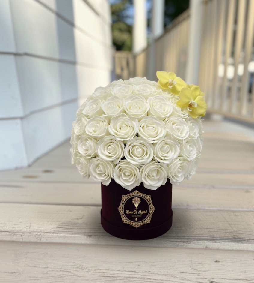 Amore Luxe Élite - Valentine's