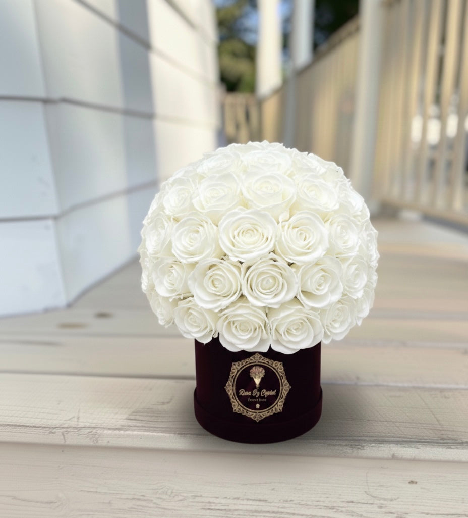 Amore Luxe - Valentine's