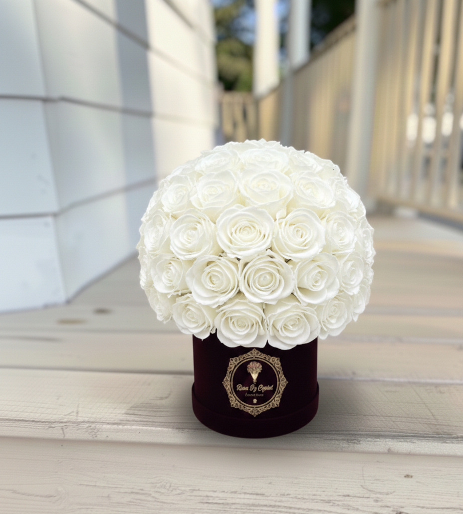 Amore Luxe - Valentine's