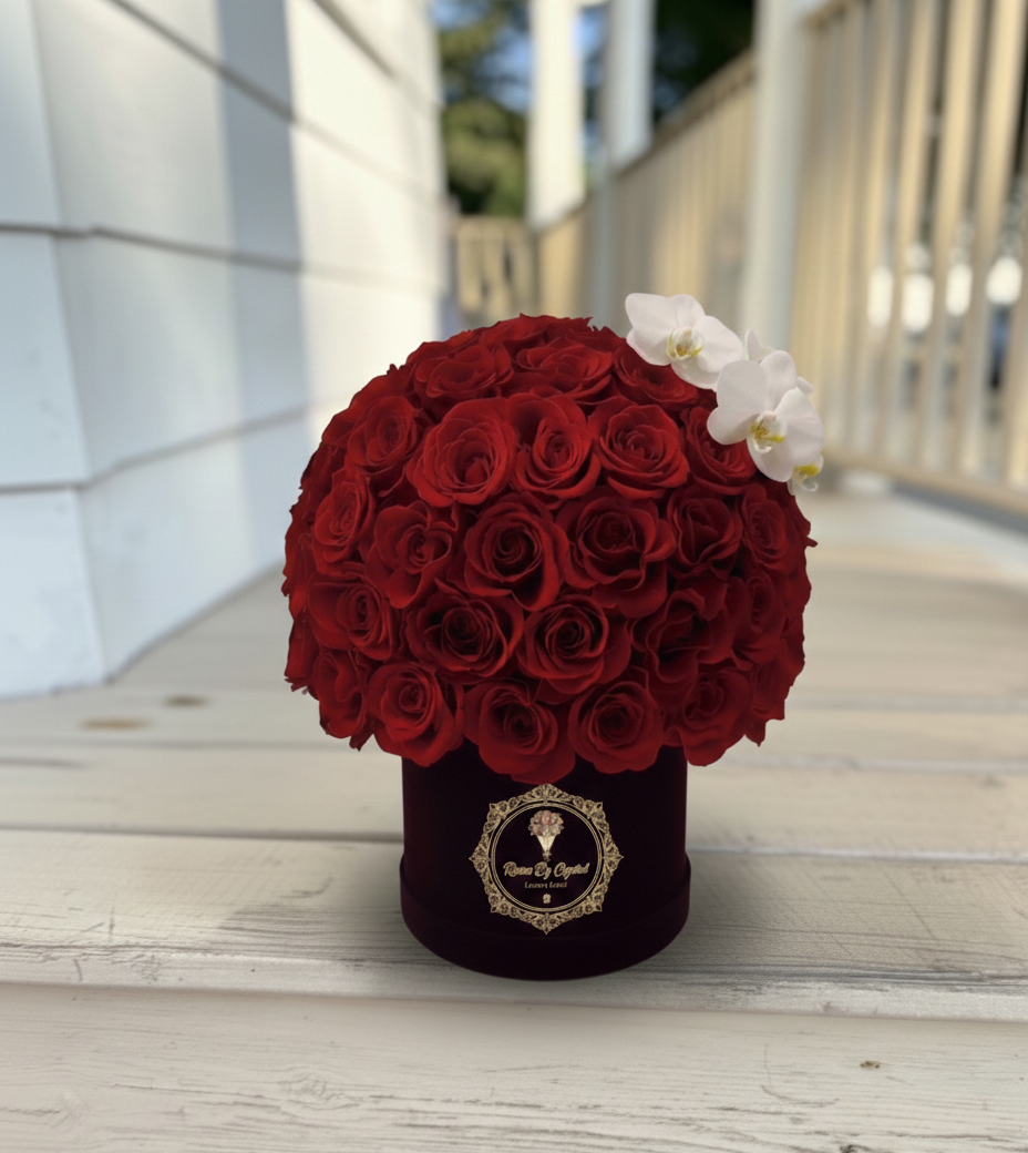 Amore Luxe Élite - Valentine's