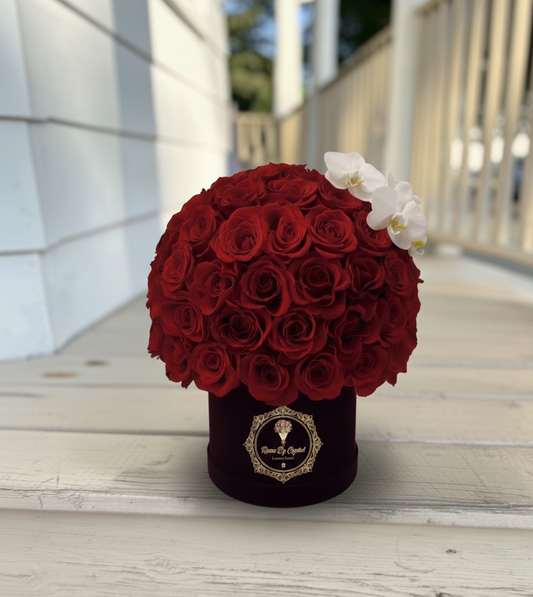 Amore Luxe Élite - Valentine's