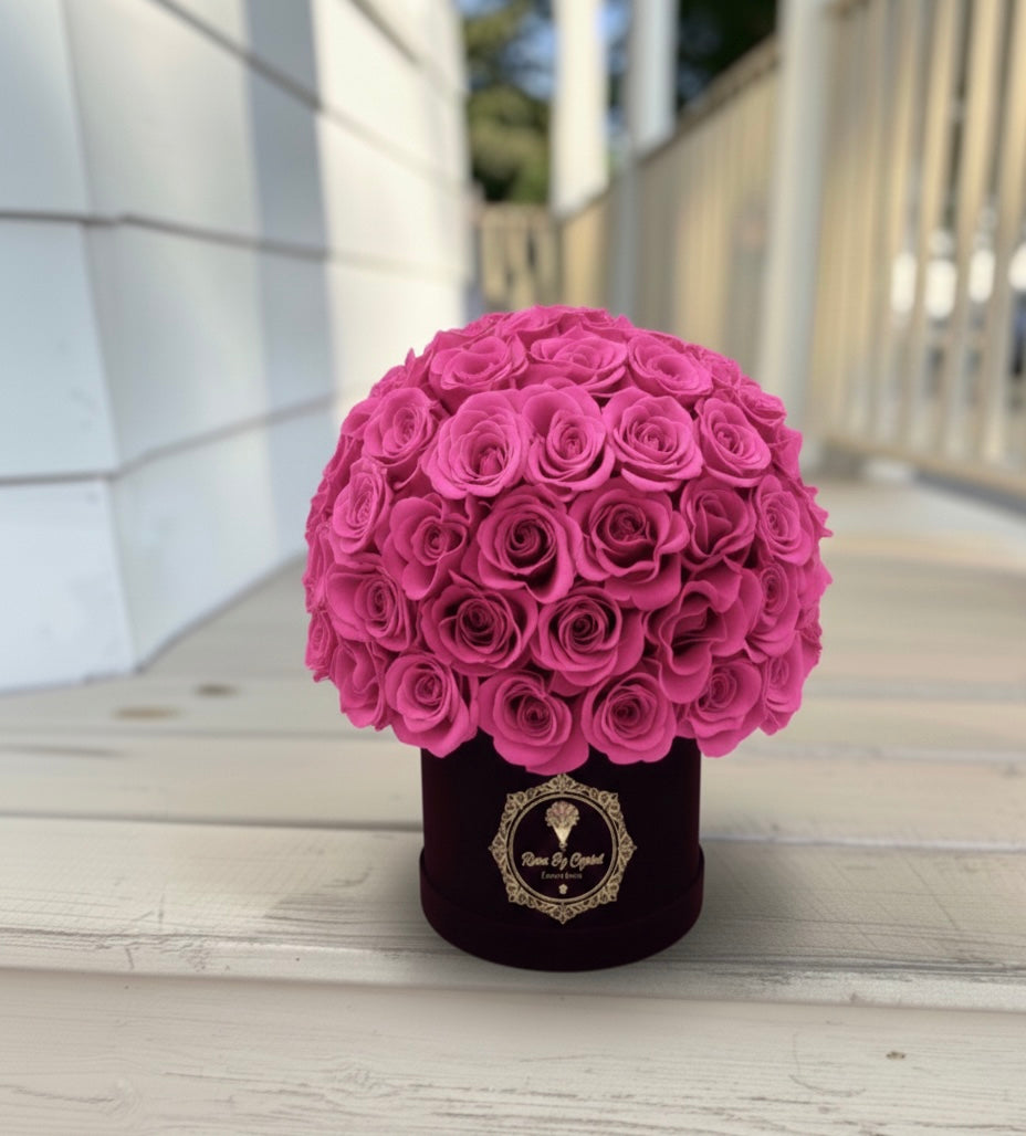 Amore Luxe - Valentine's