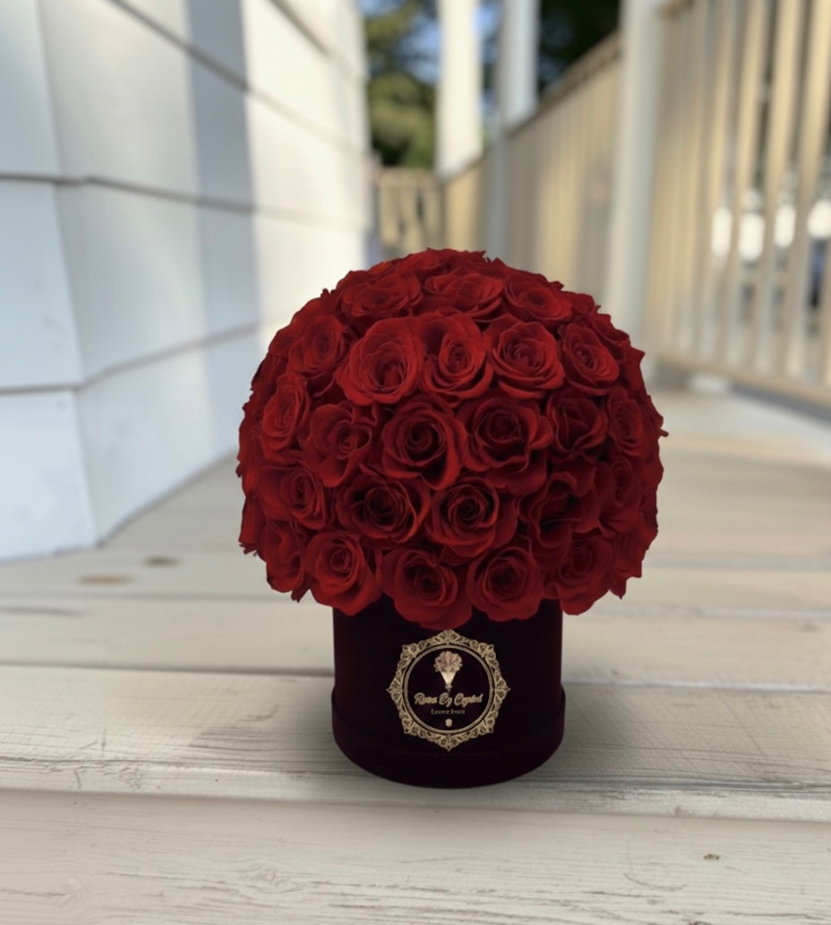 Amore Luxe - Valentine's