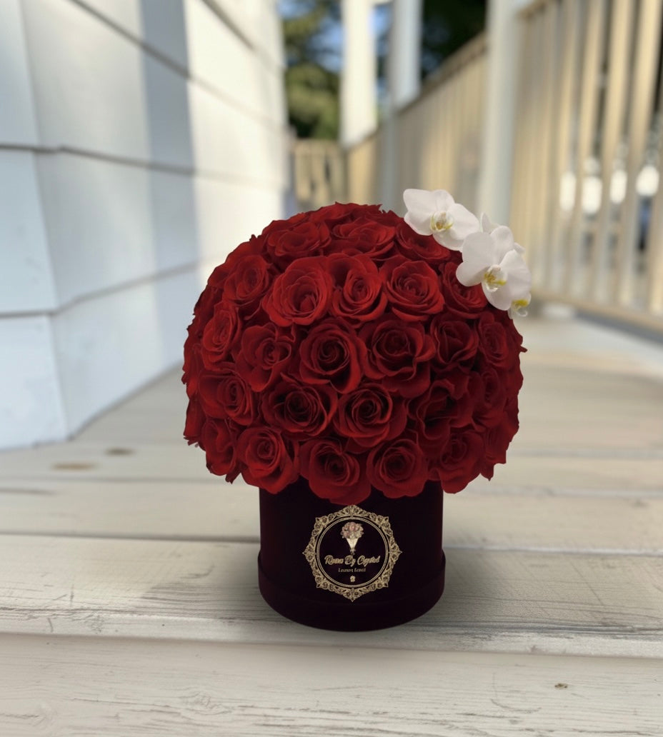 Amore Luxe Élite - Valentine's